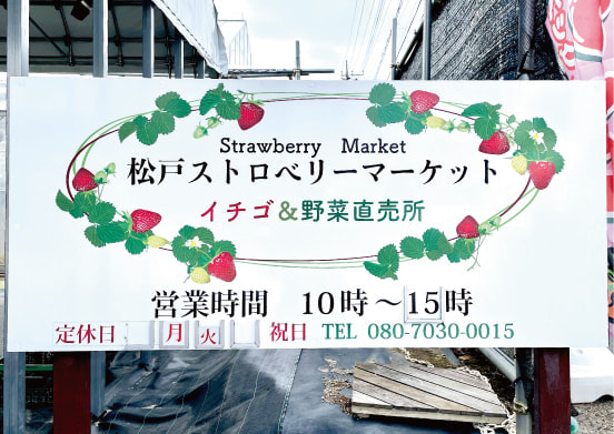 松戸ストロベリーマーケット